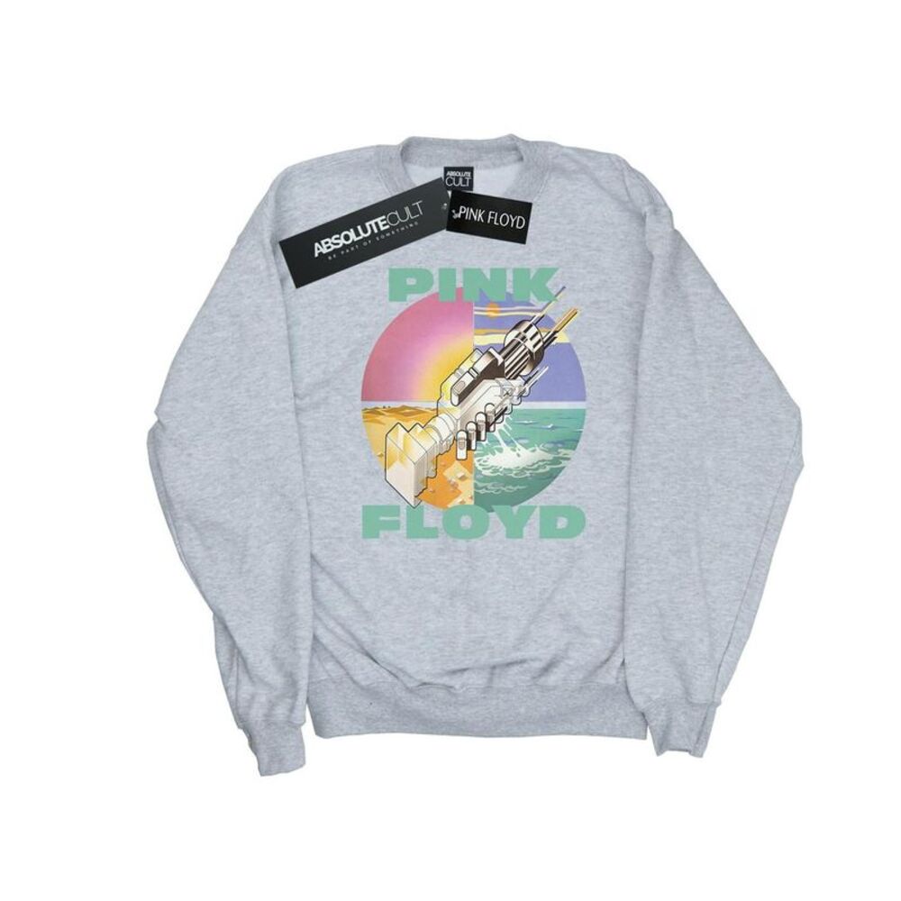 Pink Floyd Mens Wish You Were Here Sweatshirt / Sports Grey